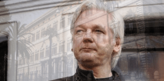 Assange stati uniti